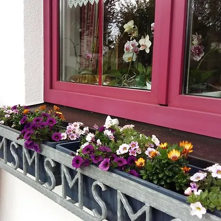 Gaestehaus Schmidt Nocleg ze śniadaniem