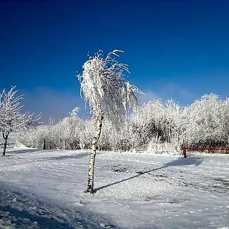 Bed & Breakfast Gaestehaus Schmidt *