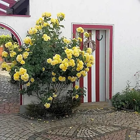 Bed & Breakfast Gaestehaus Schmidt *