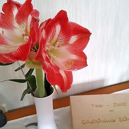 Bed & Breakfast Gaestehaus Schmidt Lichtenberg (Bavaria)